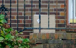 Người phụ nữ sốc nặng khi thấy tay người trong gói hàng mới nhận