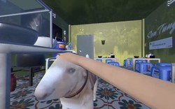 “Đấng sinh thành” Tiệm Phở Của Anh Hai vừa phải lên tiếng đính chính: Đây không phải đồ án tốt nghiệp!