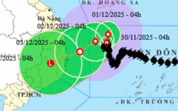 Bão số 15 giật cấp 11, "đi bộ" trên Biển Đông