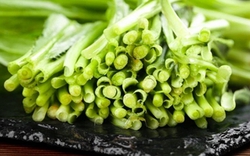 3 loại rau "nhiều ký sinh trùng nhất chợ" mùa này, thơm ngon, đói bụng mấy cũng chờ chín hẵng ăn
