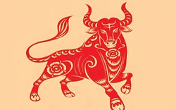 Tổng quan tử vi tuổi Sửu năm 2026