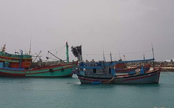 Bão Kalmaegi rất mạnh, Thủ tướng chỉ đạo ứng phó cao nhất, lường trước kịch bản xấu nhất