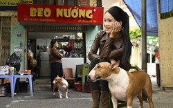 Khách xếp hàng từ sớm để gặp chú chó "nuôi được cả chủ" ở Hà Nội