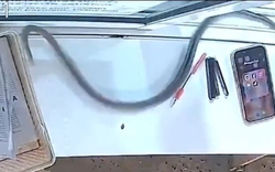 Thấy thứ đáng sợ lao về phía mình, cô gái la hét bỏ chạy