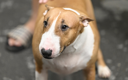 Ngừng quay phim, chụp ảnh “cậu Vàng Mr. Gold” ngoài đời