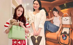 BST túi hàng hiệu của Đoàn Di Băng: Hermès đựng cún cưng, Dior và Chanel để đi chợ