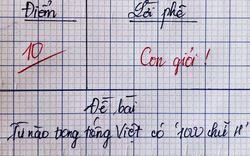 Câu hỏi 99% người trả lời sai: Từ tiếng Việt nào có đến 1000 chữ H?