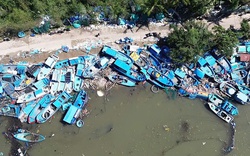 Đắk Lắk: 3 người chết, 6 người bị thương, thiệt hại hàng ngàn tỉ đồng do bão số 13