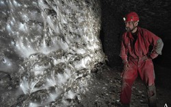 Hơn 111.000 con nhện, 106 mét vuông mạng chăng kín ẩn giấu bí mật về hệ sinh thái độc hại nhưng cân bằng