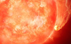 130 hành tinh khác tiết lộ sốc về tương lai Trái Đất