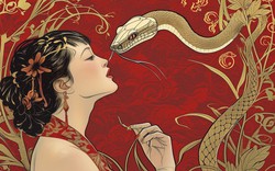 Tổng quan tử vi tuổi Tỵ năm 2026