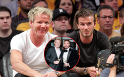 David Beckham được phong tước hiệp sĩ, động thái của đầu bếp nghiện đồ Việt gây chú ý