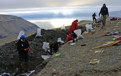 Xuất hiện đàn thủy quái 249 triệu tuổi đảo lộn lịch sử tiến hóa