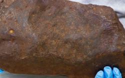 Tưởng nhặt được khối vàng 17 kg trị giá 60 tỷ đồng trong công viên, người đàn ông ‘ngã ngửa’ khi biết giá trị thật của kho báu trong tay