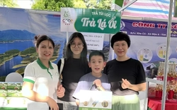 'Cô chủ nhỏ' làm giàu từ ... lá ổi