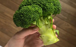 Đến giờ tôi mới biết 2 thứ này trên bông cải xanh chống ung thư gấp 100 lần phần bông! "Tiếc hùi hụi" vì toàn vứt bỏ