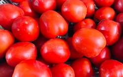 Cà chua tăng giá kỷ lục tại chợ Hà Nội: 85.000 đồng/kg vẫn bán sạch, bà nội trợ 'choáng váng'