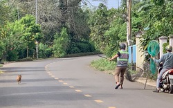 Chỉ trong 1 buổi sáng, tổ bắt chó thả rông của 1 xã ở TP HCM tóm tổng cộng 7 con