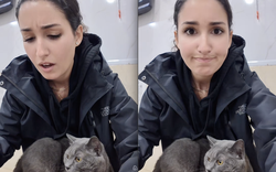 Ăn xôi xoài ở Hà Nội, khách Tây hoảng hốt khi thấy sự khác lạ trong màu sắc của gạo