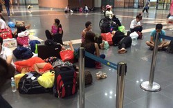 Từ 1/7/2026: Hãng bay bị delay sẽ phải xin lỗi và bố trí ăn nghỉ, đi lại cho hành khách