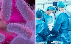 Người đàn ông tử vong sau khi được ghép thận từ người nhiễm bệnh dại