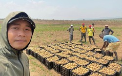 Động thái lạ của kênh Quang Linh Vlogs