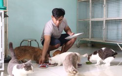 Chó, mèo tại TP.HCM được tiêm vaccine dại miễn phí