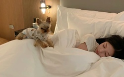 Điều bạn làm trên giường mỗi đêm hé lộ nhiều sự thật về chính con người bạn