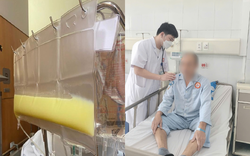 Huyết tương đục như mỡ, người đàn ông nguy kịch vì uống nửa lít rượu mỗi ngày