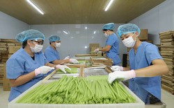 Sản phẩm của nông dân Việt giải được bài toán hóc búa, khiến người Đức "ngạc nhiên", chuyên gia yêu thích