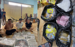 Phá đường dây ma tuý có tổ chức xuyên quốc gia: Thu 174 kg ma túy tổng hợp, 10 bánh heroin, 300 gói ma tuý dạng nước vui