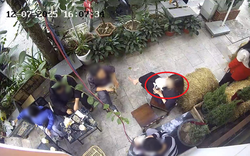 Bị nhắc vì cho chó uống cốc của quán, khách tức giận xưng "mày - tao", mắng chủ quán "thái độ cành cao"