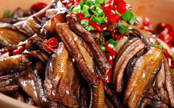 4 loại cá dễ chứa "ổ sán", chủ sạp bán cũng ngại ăn