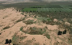 Trung Quốc ‘vỡ mộng’: Tốn 50 năm trồng 66 tỷ cây làm Vạn Lý Trường Thành nhưng vẫn bị sa mạc "nuốt chửng" đất, tham vọng chế ngự thiên nhiên có khả thi?