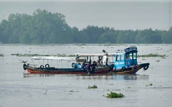Vỏ lãi tông đò ngang trên sông Tiền: Tìm thấy thi thể người lái đò
