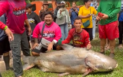 Người đàn ông bắt được “thủy quái” nặng 200kg trên sông