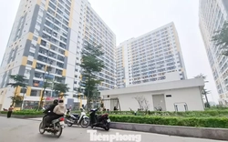 Bắc Ninh, Hải Phòng phát hiện hàng loạt sai phạm mua bán nhà ở xã hội