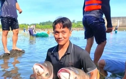 Người dân đổ xô vào Thuỷ điện Trị An bắt cá khủng