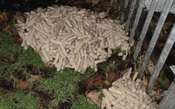 Dắt chó đi dạo, người đàn ông bắt gặp cảnh tượng bí ẩn