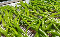 2 loại rau “khoái khẩu” mùa lạnh dễ thành ổ sán, đứng đầu bảng mâm cơm nhà nào cũng có