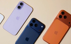 5 món quà tặng xinh yêu, làm quà tặng Giáng Sinh thì quá hợp!