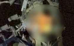 Điện lực Khánh Hòa lên tiếng vụ người đàn ông tử vong trên trụ điện trung thế