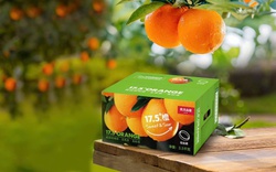 Cam 17.5° Nongfu Spring nổi tiếng tại Trung Quốc sắp về Việt Nam