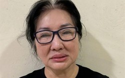 Chủ tịch Quốc Cường Gia Lai Nguyễn Thị Như Loan nộp 100 tỷ đồng, 4 thửa đất