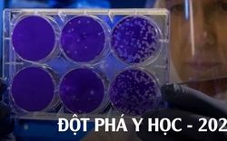 Những đột phá y học nổi bật năm 2025: Khi khoa học không còn ở phòng thí nghiệm mà bước thẳng vào đời sống