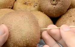 Cắm 1 cây tăm vào quả kiwi, hiệu quả "vàng mười" khiến nhiều người bất ngờ