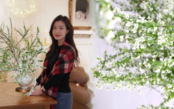 Thú chơi hoa "củi khô nở ra tuyết trắng": Giá bình dân nhưng khí chất sang chảnh, cắm một bình chơi cả tháng Giêng