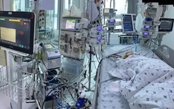 Sốt, nổi ban tưởng bệnh nhẹ, bé 2 tuổi tổn thương tim nguy kịch