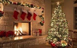 Câu chuyện "rùng mình" khi mang cây thông Noel thật vào nhà mùa Giáng sinh