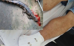 Vụ cá sấu cắn thầy giáo ở Tây Ninh: Phạt người nuôi 315 triệu đồng